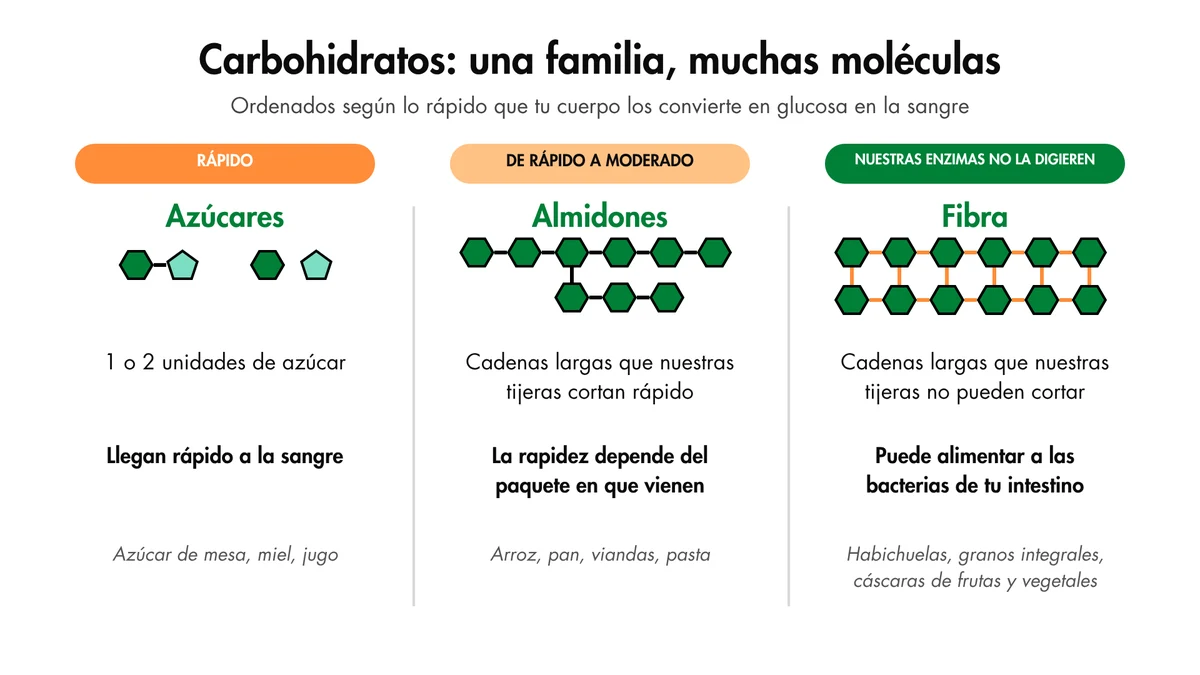 Los azúcares son una o dos unidades de azúcar, y nuestras tijeras los manejan rápido. Los almidones son cadenas largas que nuestras tijeras también cortan, a una velocidad que depende del alimento: cómo está procesado, cuánto comes y qué más hay en tu plato. Las fibras son cadenas que nuestras tijeras no pueden cortar, y muchas se convierten más bien en alimento para las bacterias de tu intestino. Los alimentos que aparecen bajo “Fibra” son excelentes fuentes de fibra, aunque también tienen otros carbohidratos.