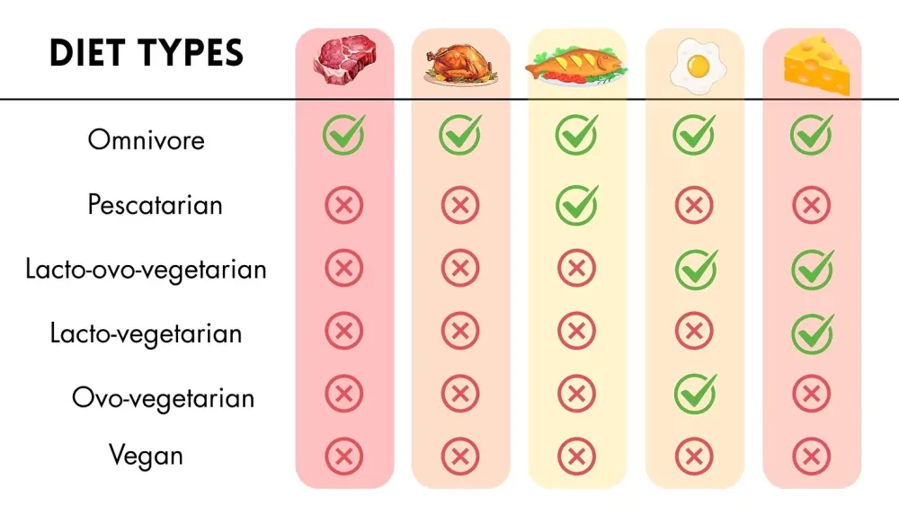Chart titled Diet Types comparing six diets across five foods: steak, roast chicken, fish, a fried egg, and cheese. Omnivores eat all five. Pescatarians eat fish but none of the others. Lacto-ovo-vegetarians eat eggs and cheese. Lacto-vegetarians eat cheese only. Ovo-vegetarians eat eggs only. Vegans eat none of the five.