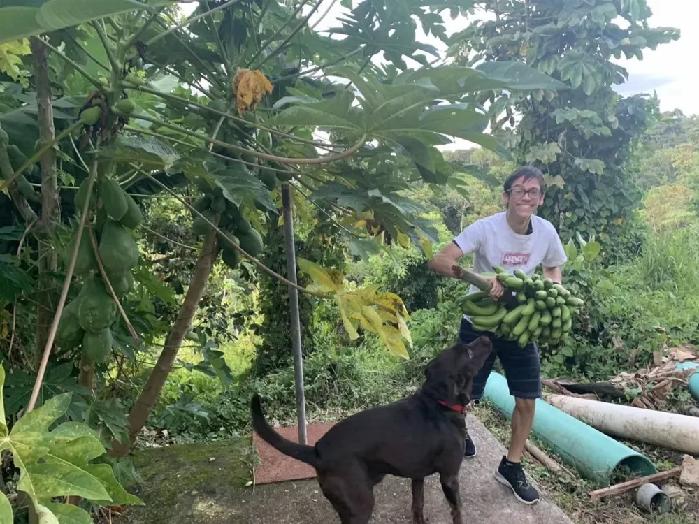 Dr. Giomarell, smiling in a white T-shirt, holds up a large bunch of green bananas beside a papaya tree heavy with fruit, while Moses, a chocolate Labrador, looks up at the bananas.