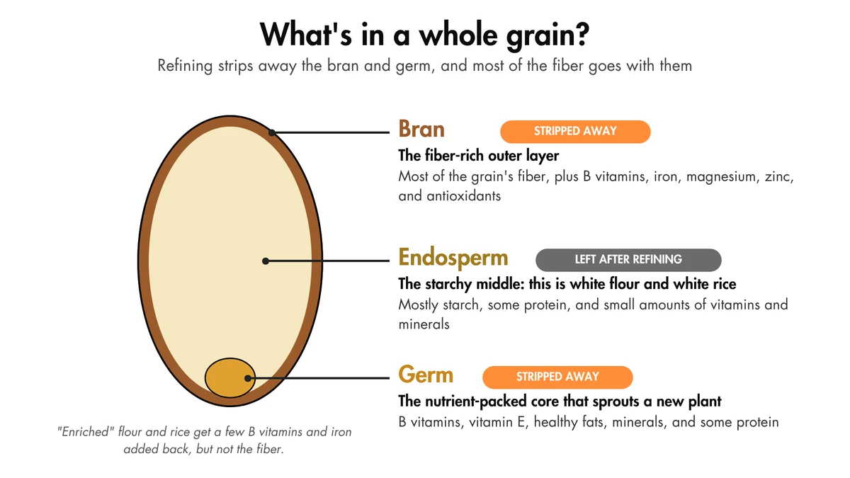 A whole grain keeps all three parts. Refining removes the bran and germ, and most of the fiber goes with them.