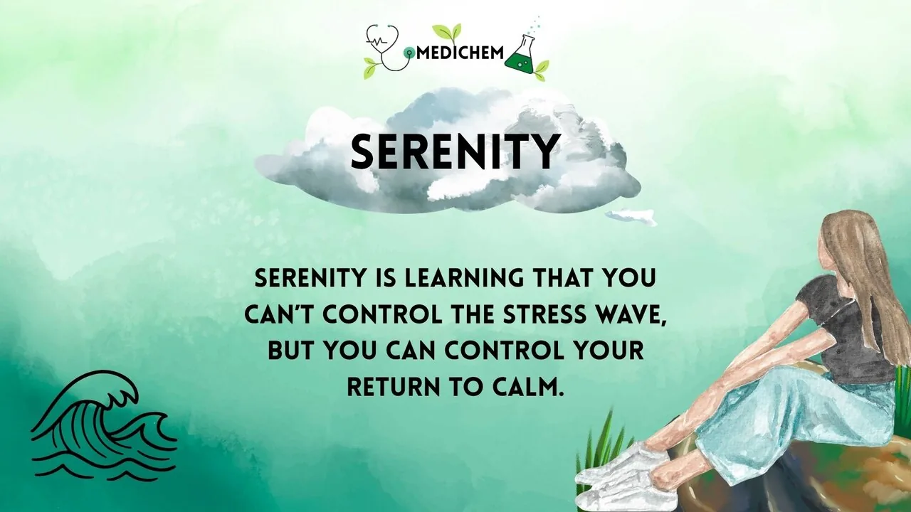 Serenity: learning that you can't control the stress wave, but you can control your return to calm.
