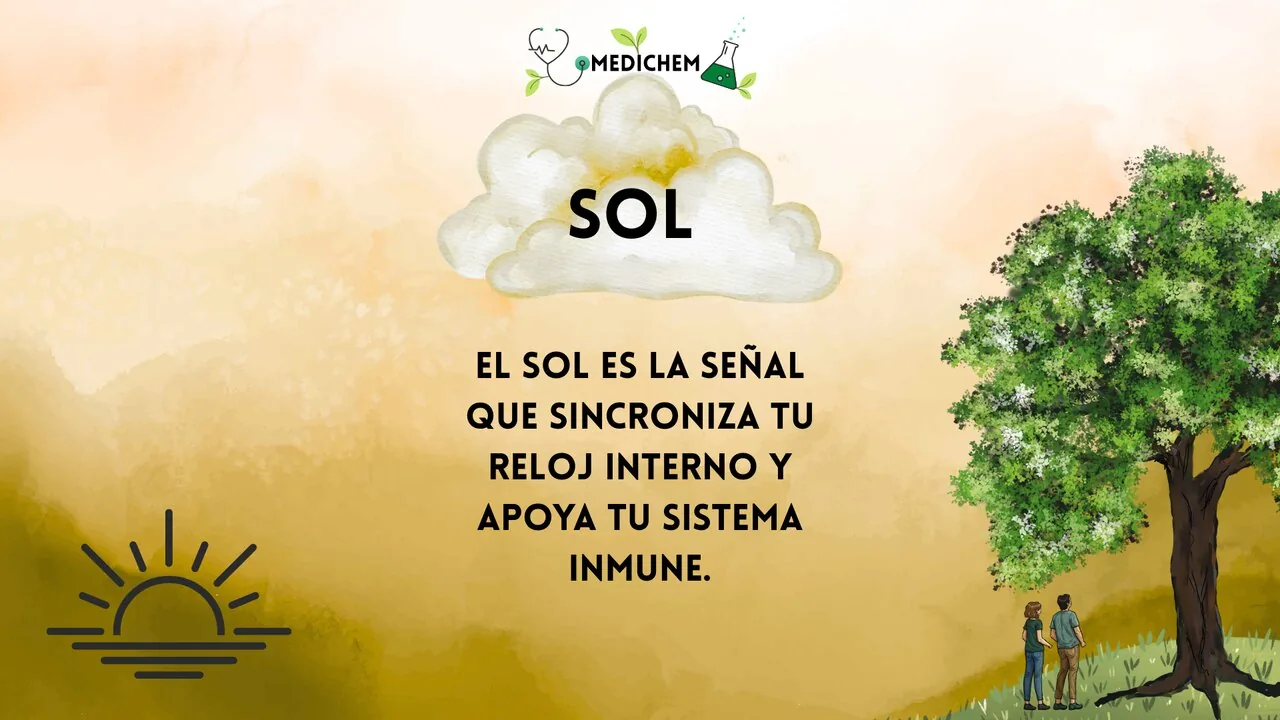 Ilustración: dos personas junto a un árbol bajo un cielo nublado, con texto que destaca cómo el sol sincroniza tu reloj corporal y apoya tu sistema inmune.