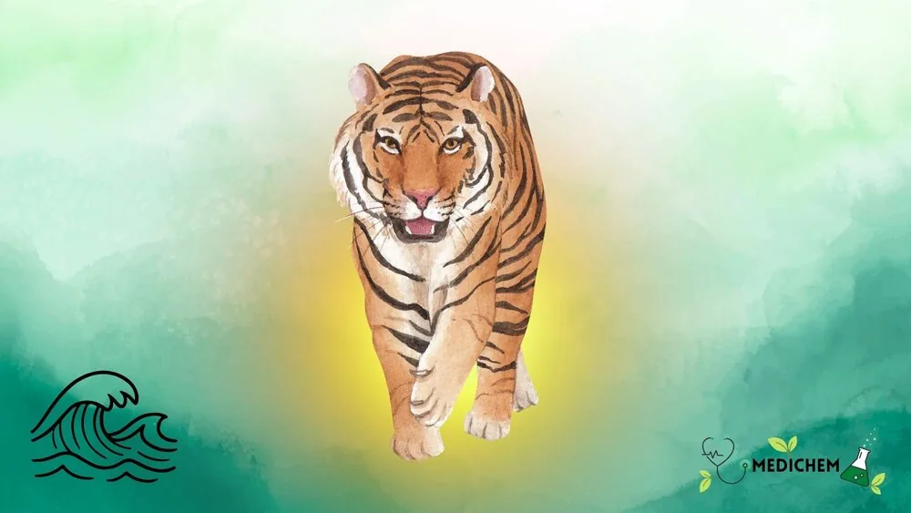 Watercolor illustration of a tiger walking forward against a green and yellow gradient background.