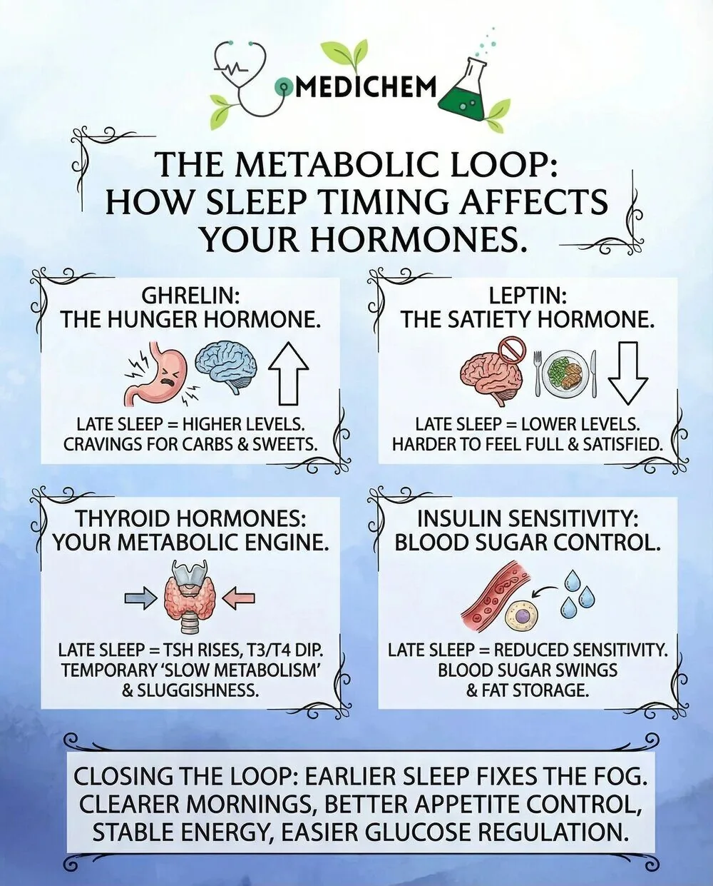 Infographic titled The Metabolic Loop: How Sleep Timing Affects Your Hormones. Late sleep increases ghrelin, lowers leptin, raises TSH while lowering T3/T4, and reduces insulin sensitivity; earlier sleep improves energy, appetite, and glucose regulation.