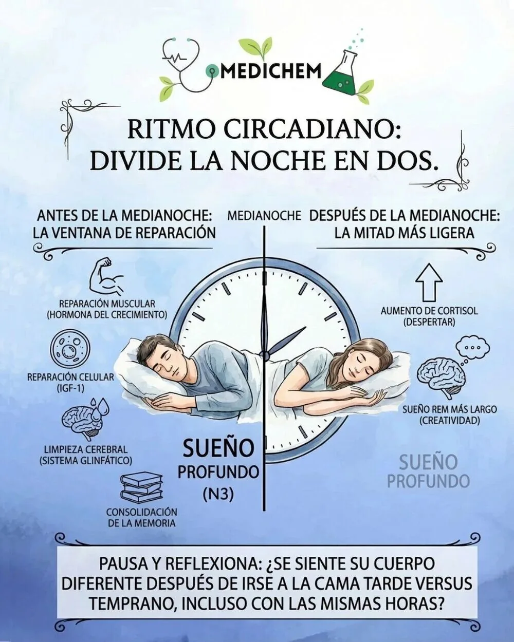 Infografía: Ritmo circadiano, divide la noche en dos. Antes de la medianoche es la ventana de reparación (sueño profundo, reparación muscular y celular, limpieza glinfática, consolidación de memoria); después de la medianoche es la mitad más ligera (más REM, aumento del cortisol).