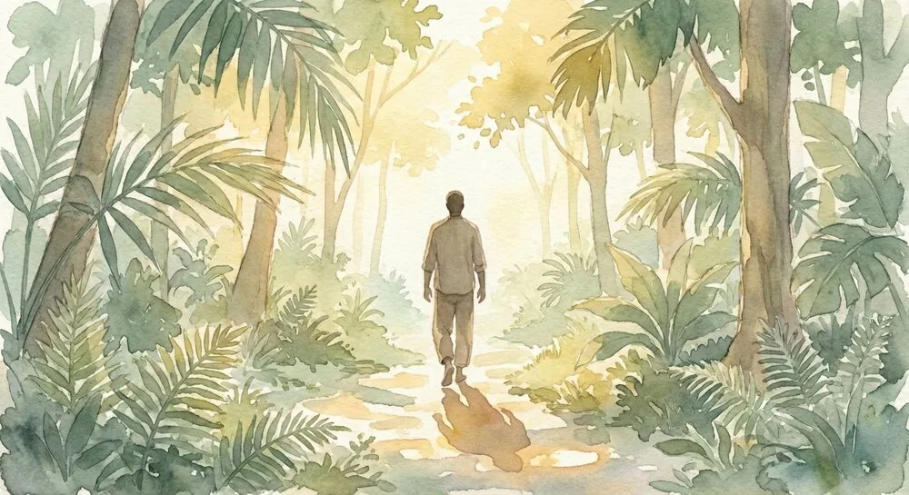 A person walking toward the light through a lush tropical forest path.